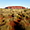 Uluru au loin