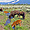 Bisons dans le Grand Teton National Park