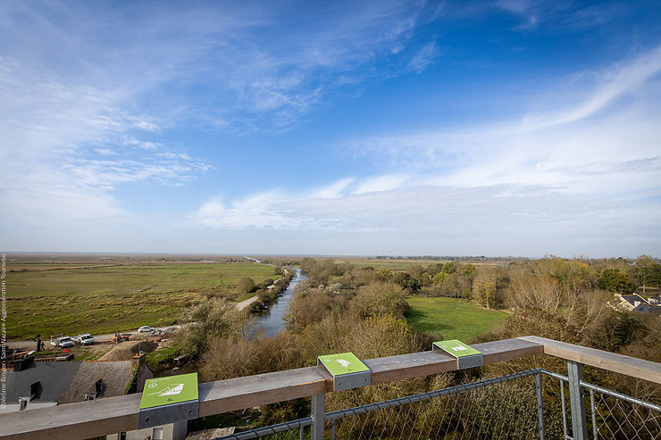 Loire-Atlantique - Le marais de Brière vu du ciel depuis le belvédère de Rozé