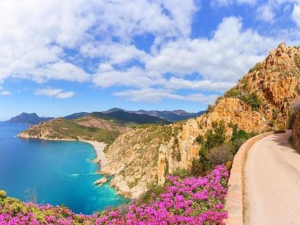 Voyage Corse, Partir en vacances en Corse