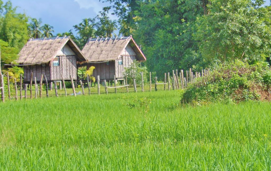 Don Det - sur les bras du Mekong Don Det - sur les bras du Mekong