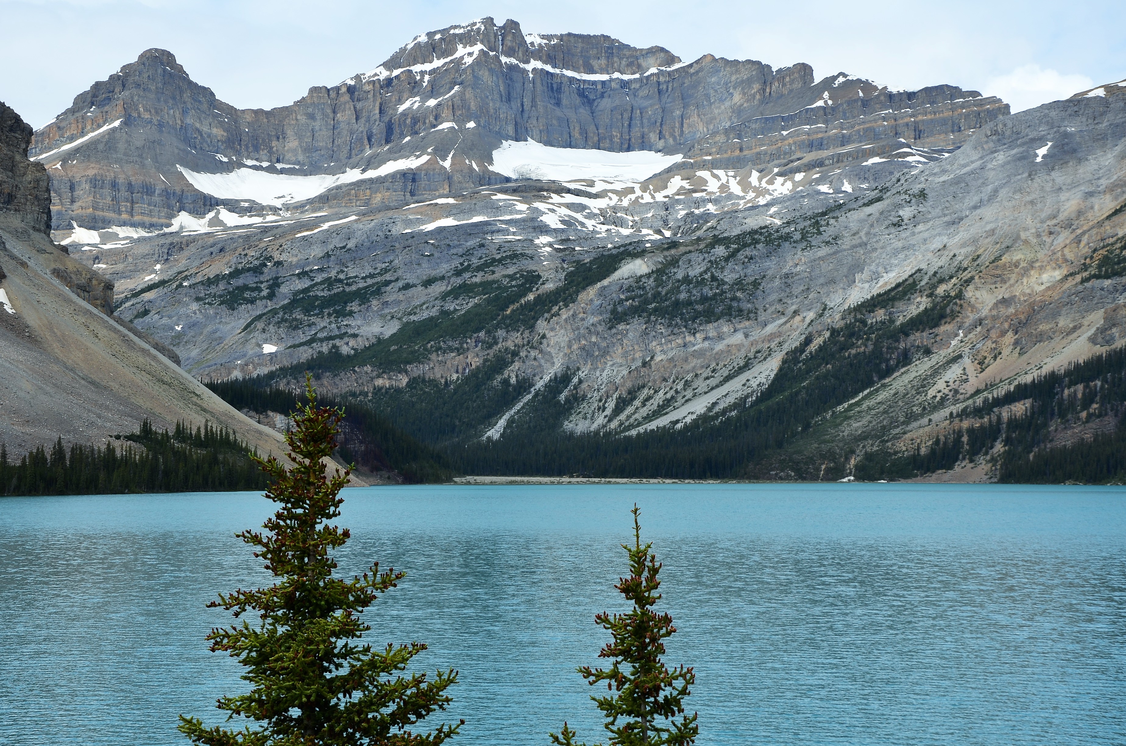 Lac Bow Lac Bow