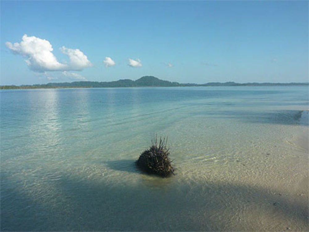 Pulau Tailana