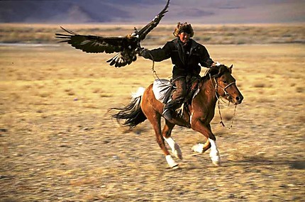 Chasse à l'aigle en Mongolie