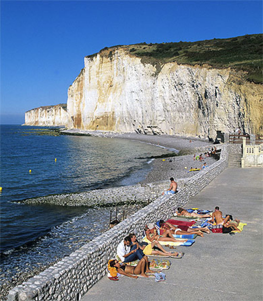 Plage et falaise, Les Grandes Dalles