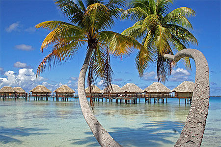 Manihi Pearl Beach Resort Manihi Pearl Beach Resort