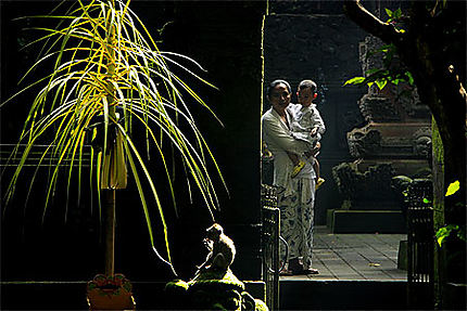 Temple à Ubud forêt des singes