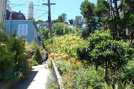 Filbert Steps Filbert Steps
