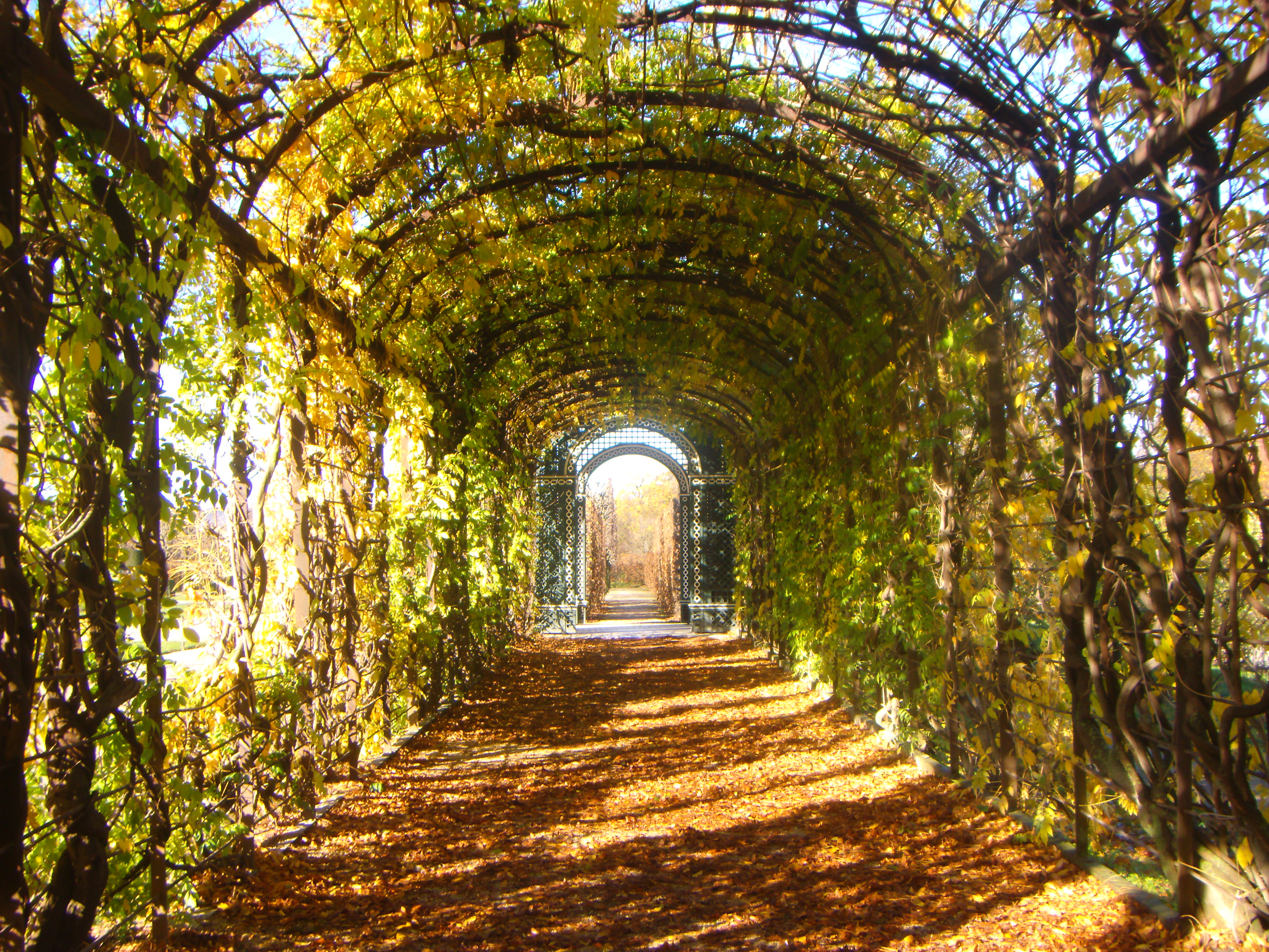 Jardins du palais de Schonbrünn Jardins du palais de Schonbrünn