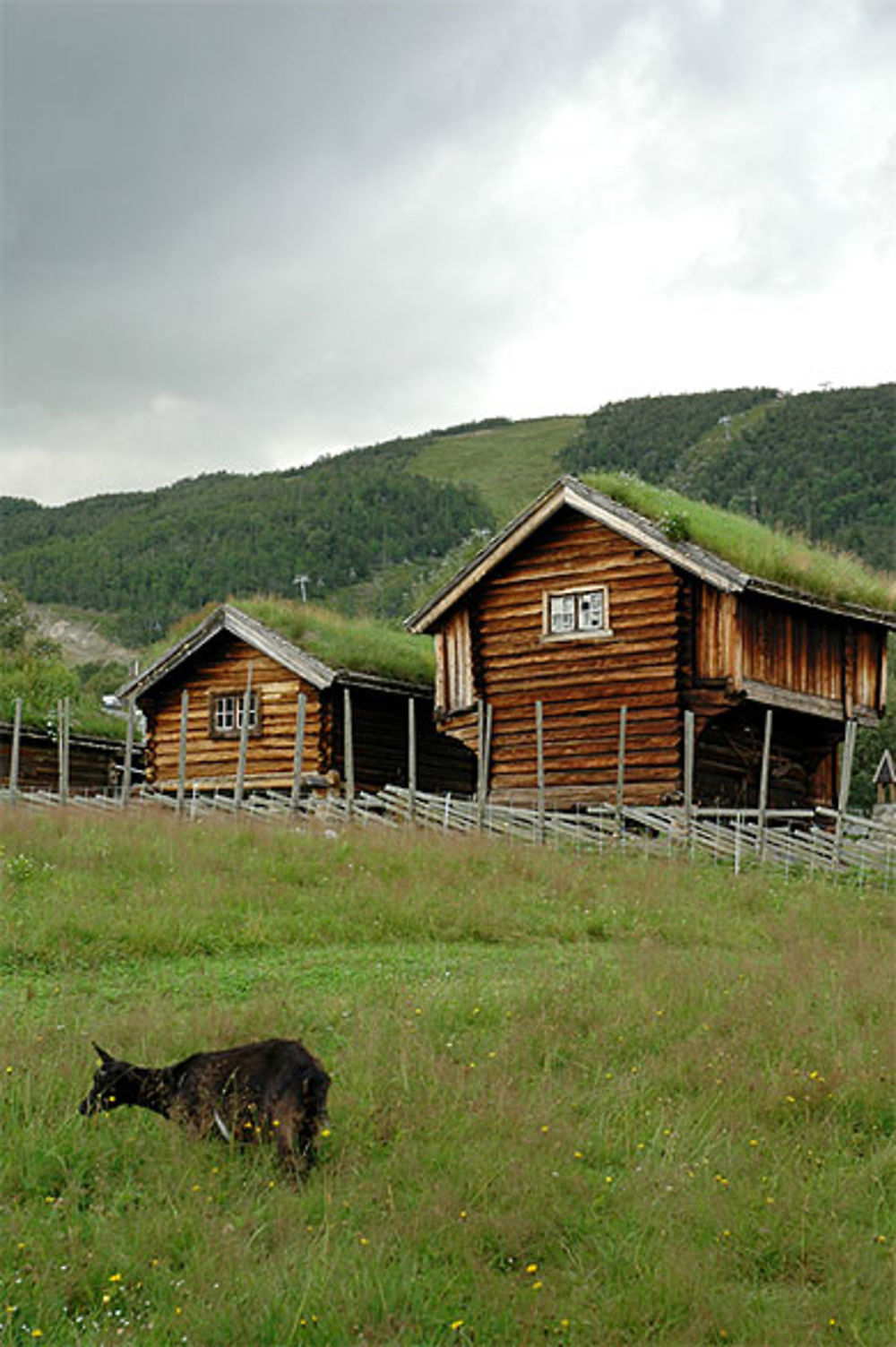 Petites maisons de Geilo