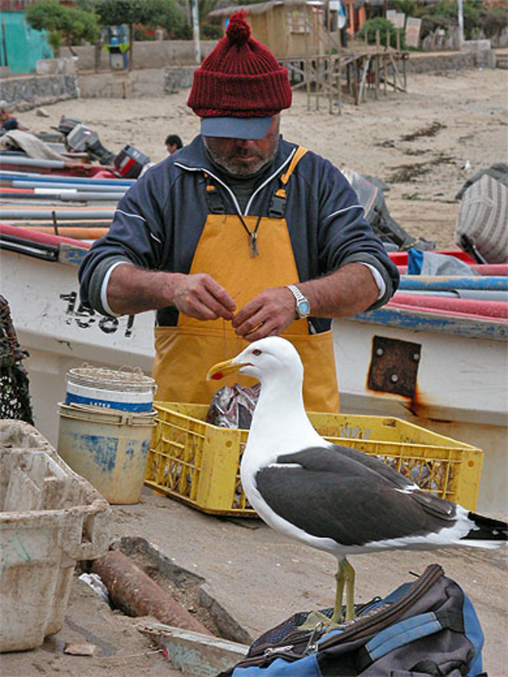 Cohabitation Pacifique