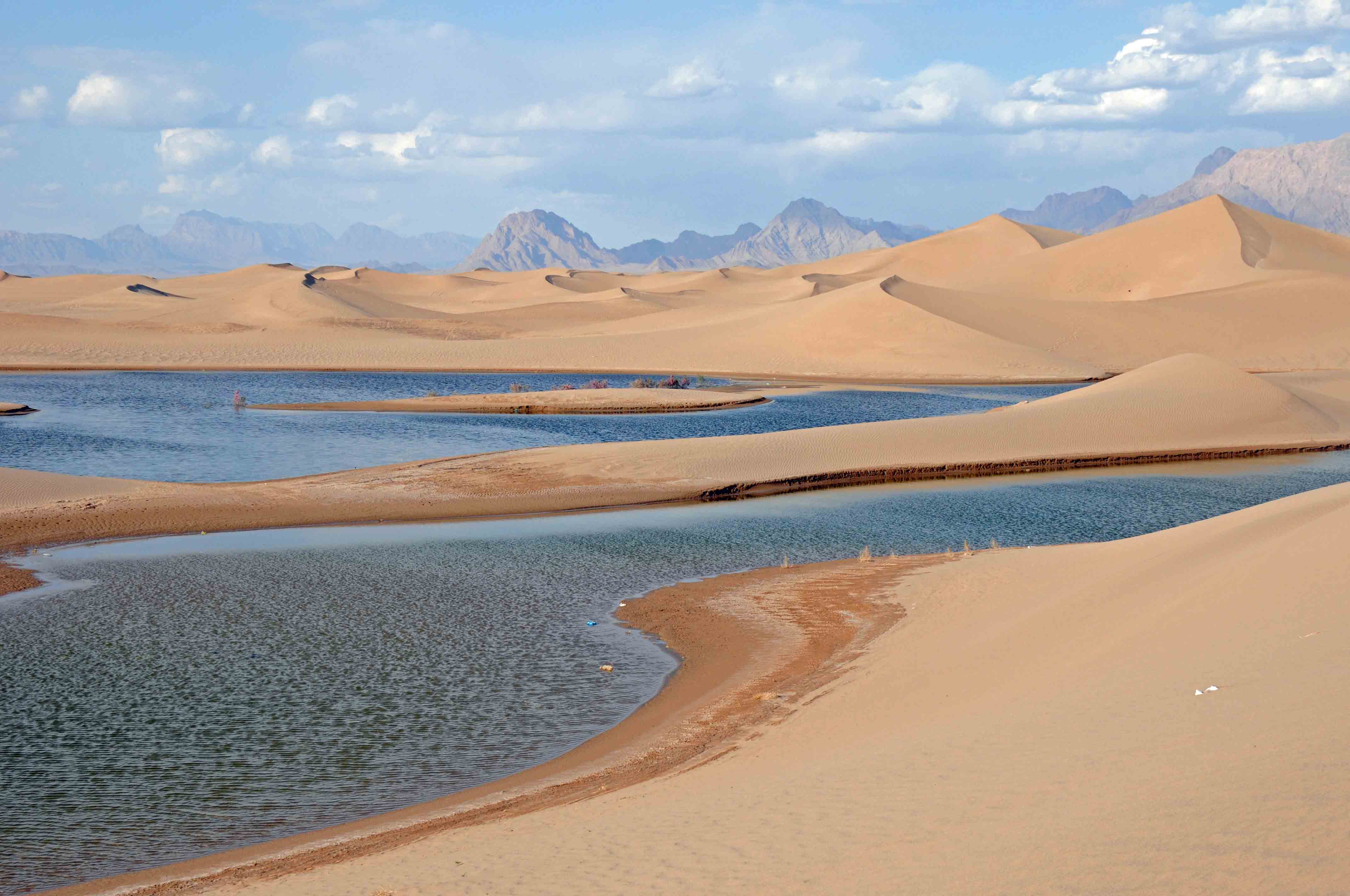 Une plage dans le désert Une plage dans le désert