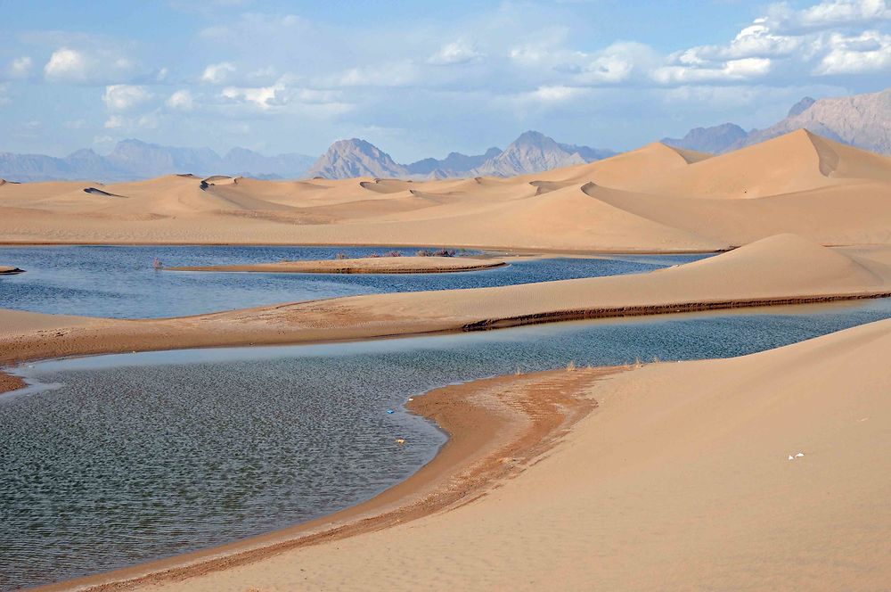 Une plage dans le désert