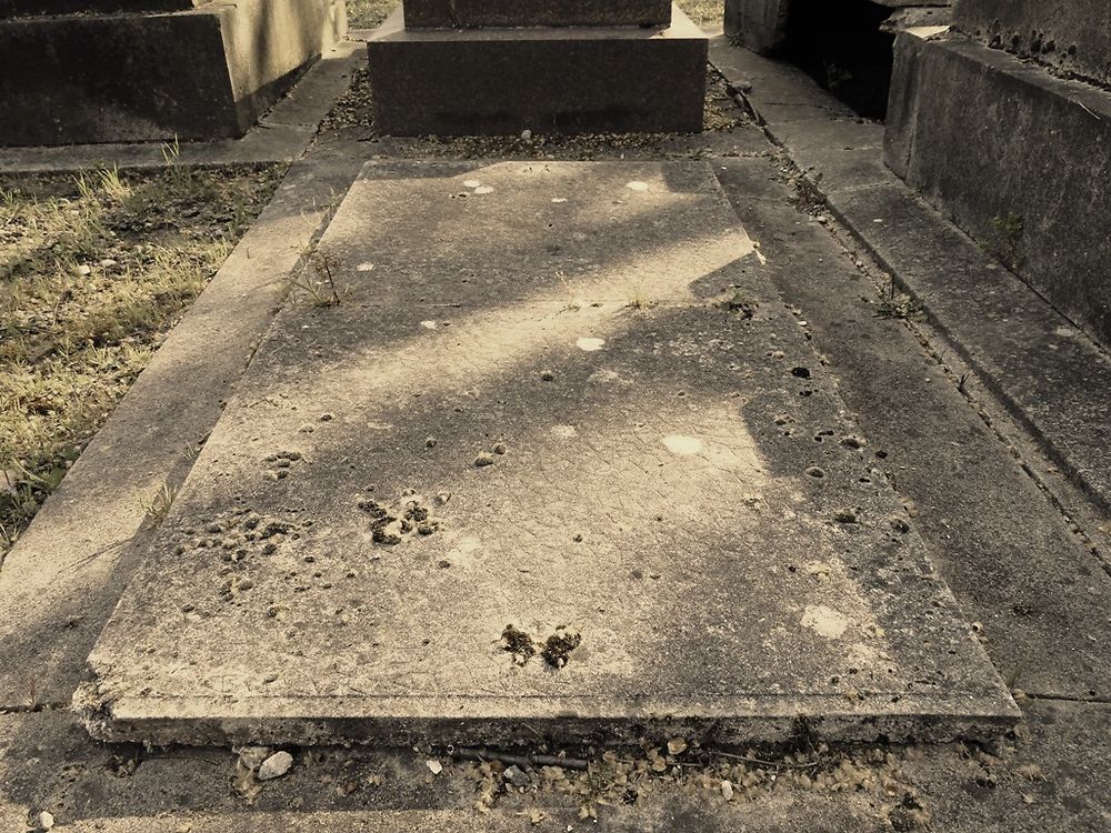 Tombe de Louis Leplée (découvreur d'Edith Piaf)