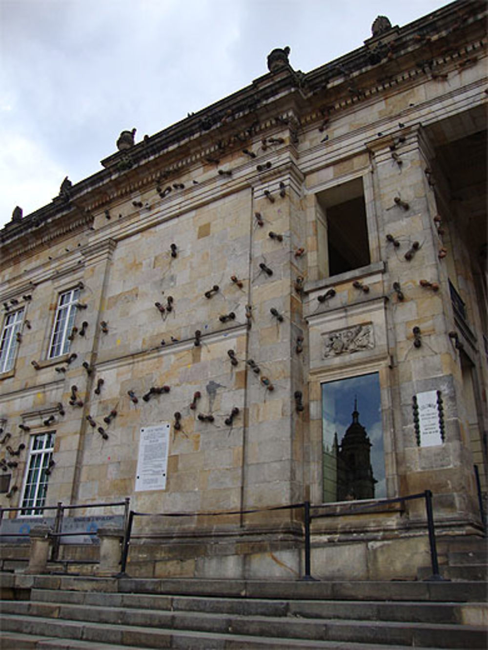 Fourmis de résine sur le Capitole national