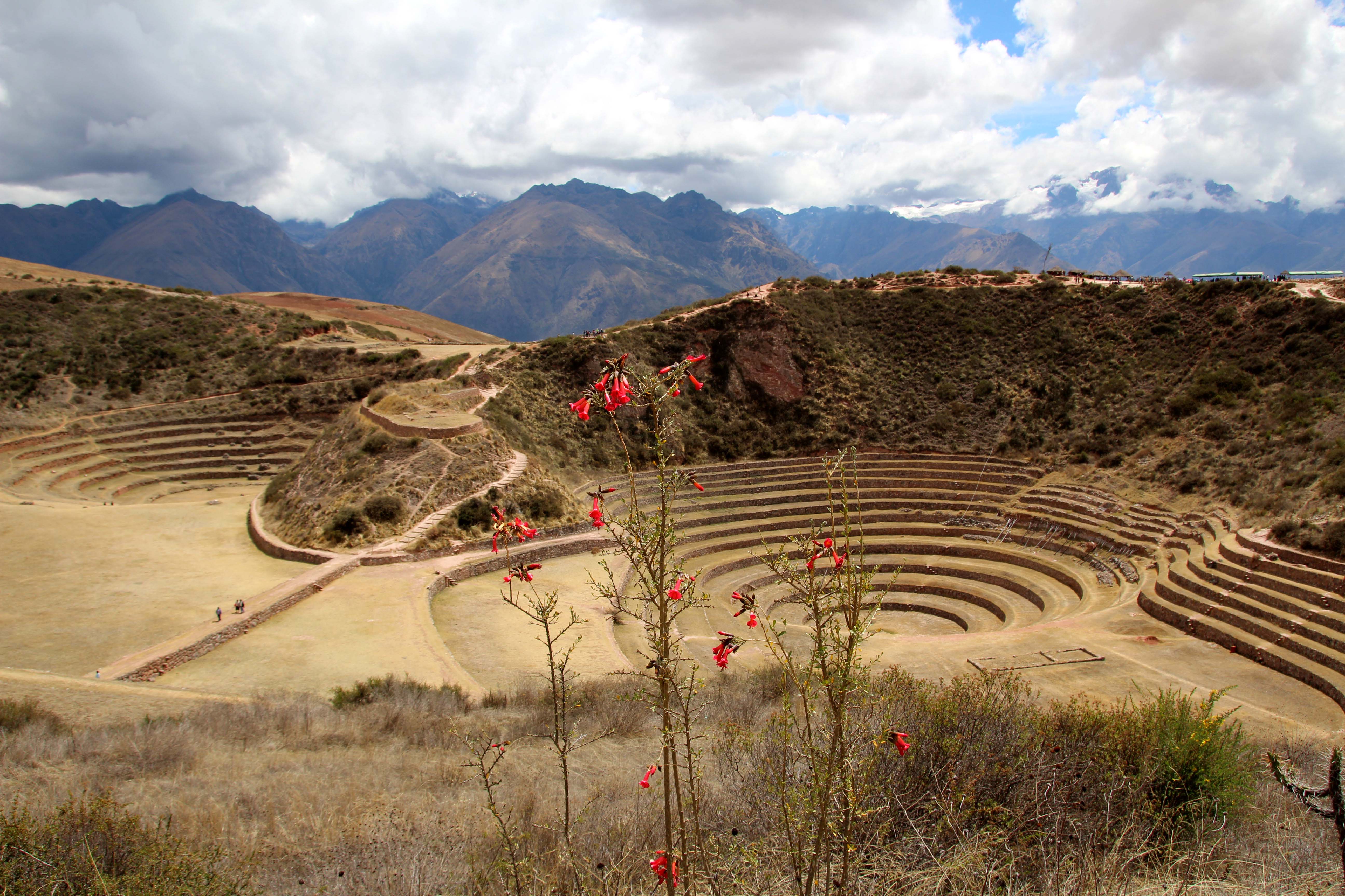 Moray Moray