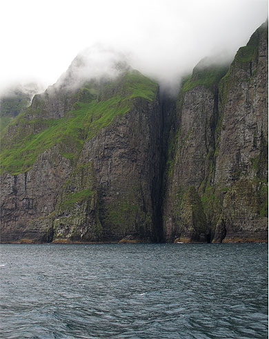 Birdcliffs Birdcliffs