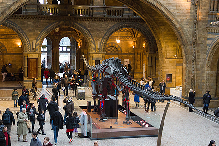 Musée d'histoire naturelle de Londres Musée d'histoire naturelle de Londres
