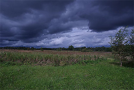 Paysage campagnard