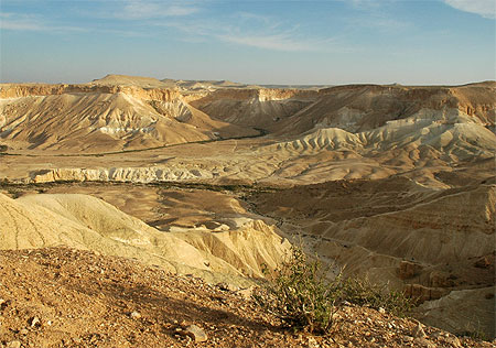 Désert Désert