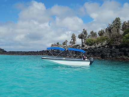 Galapagos - Isla Santa Fe