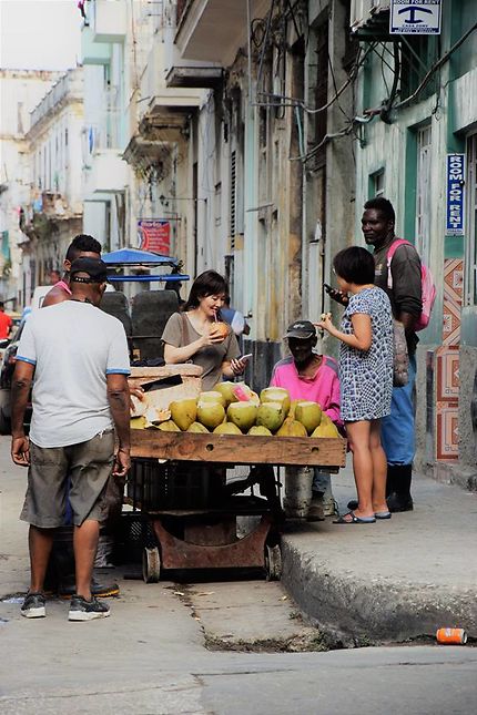 Le vendeur de noix de coco
