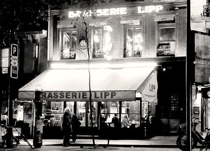 Paris la nuit (brasserie Lipp) 
