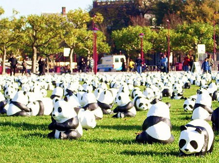 Pandas devant le Rijksmuseum