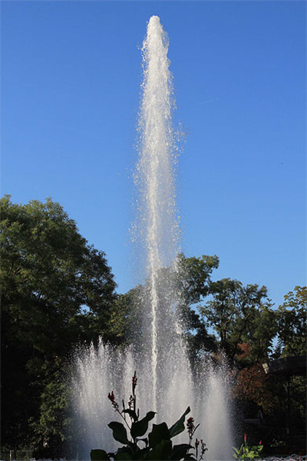 Toulouse - Grand Rond - Le jet d'eau