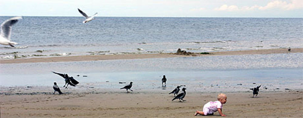 Bebe a la plage