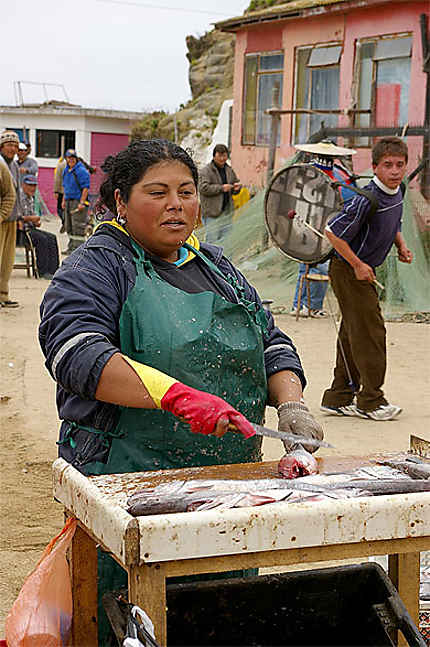 Vendeuse de poisson à Horcon