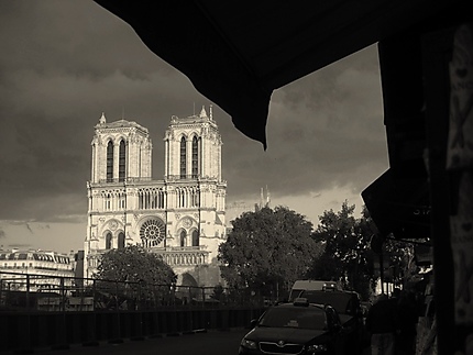 Notre Dame, vue du quai Saint Michel