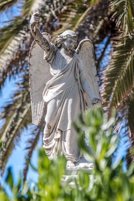 Alger - Tombe avec statue d'ange