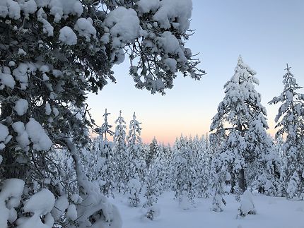 Janvier prend la neige pour châle en Laponie...