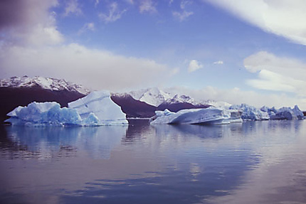 Icebergs sur Lago Argentino