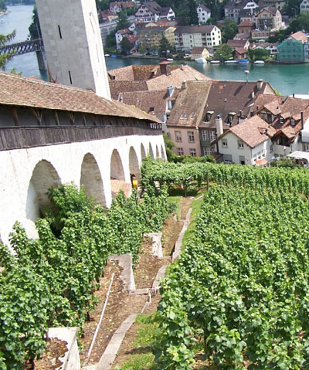 Vue de la forteresse Munot