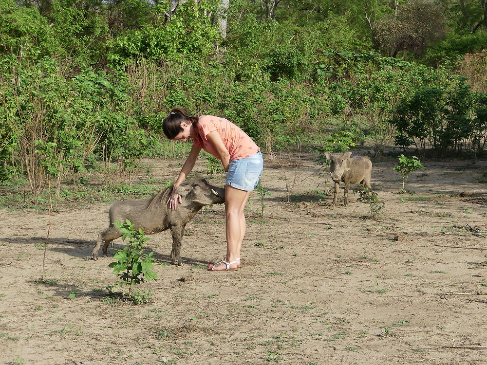 Mole national park