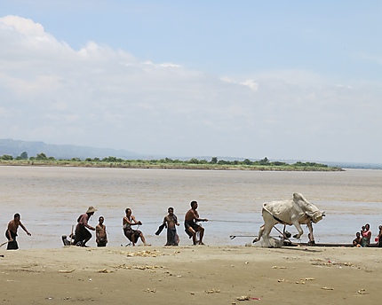 Irrawady river