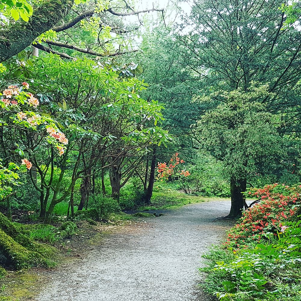 Jardins Muckross