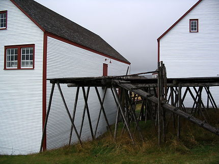 Anciens bâtiments de pêche à Bonavista