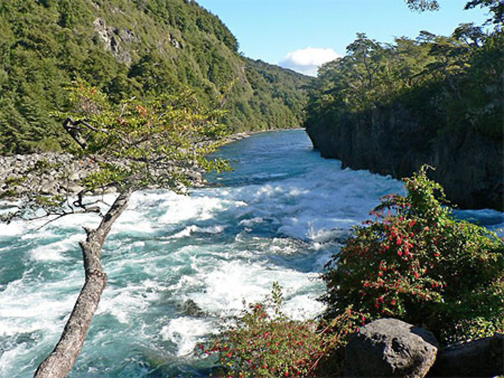 Salto Petrohue