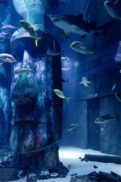 Aquarium de Londres