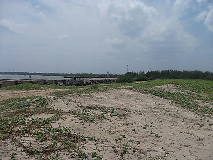 La plage de cuddalore le chemin