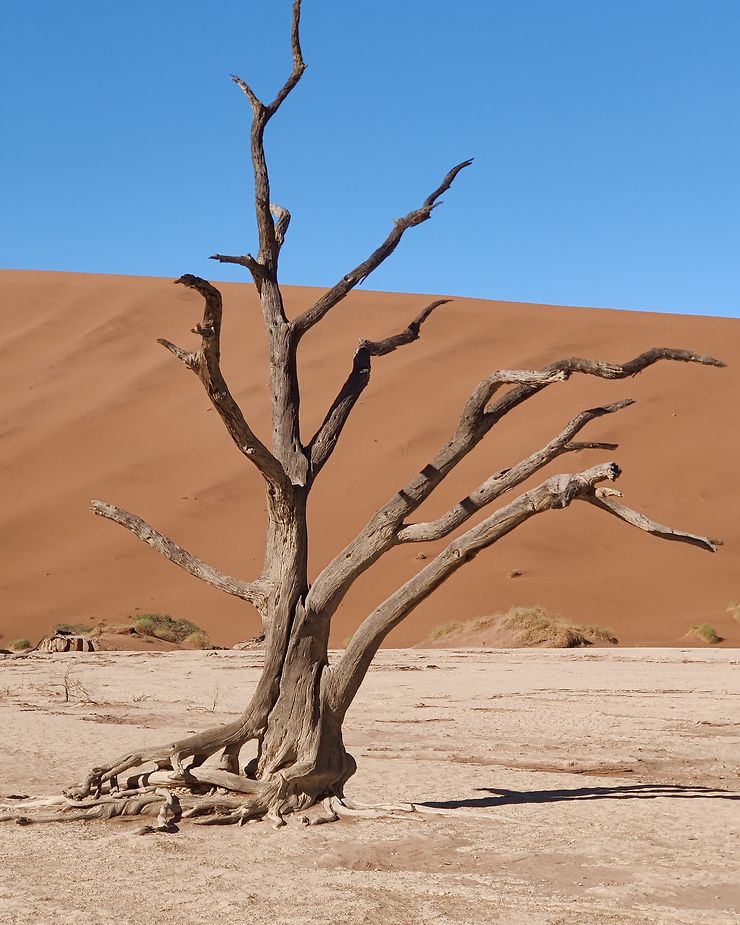 Dead Vlei – Namibie