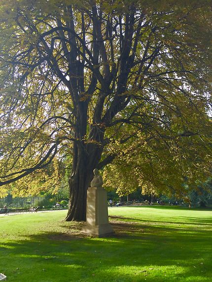 Charles Baudelaire médite sous un arbre majestueux