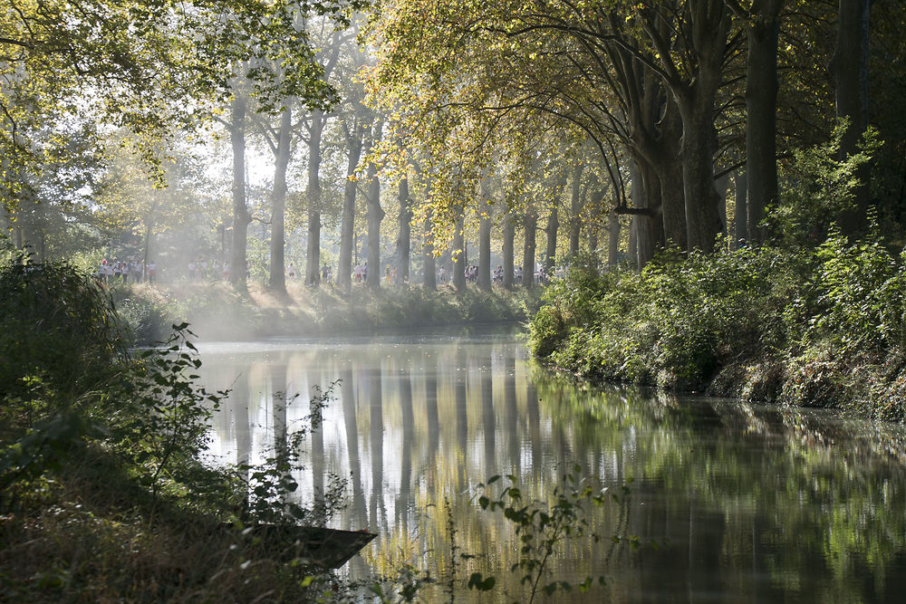 Canal du Midi