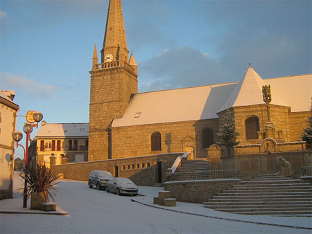 Guenin sous la neige