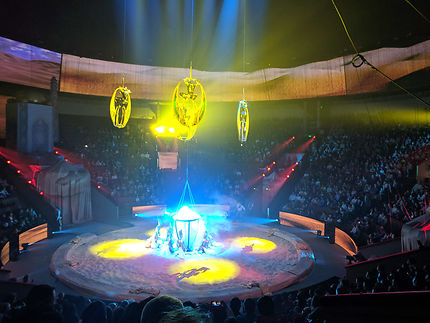 Grand spectacle au cirque de Moscou