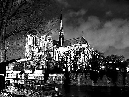 Face sud de Notre Dame de Paris la nuit