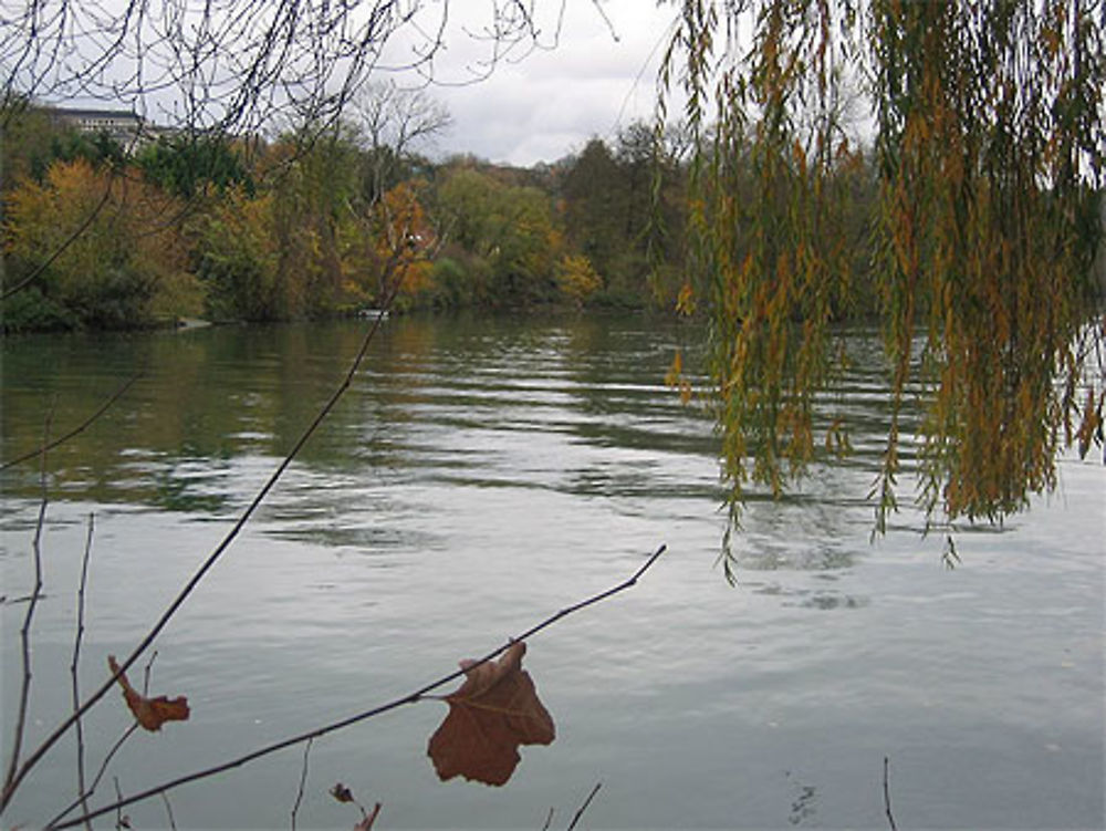 Bords de Marne